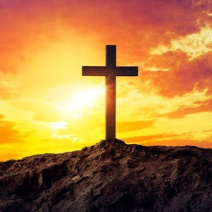 Meet your Posher, Aman